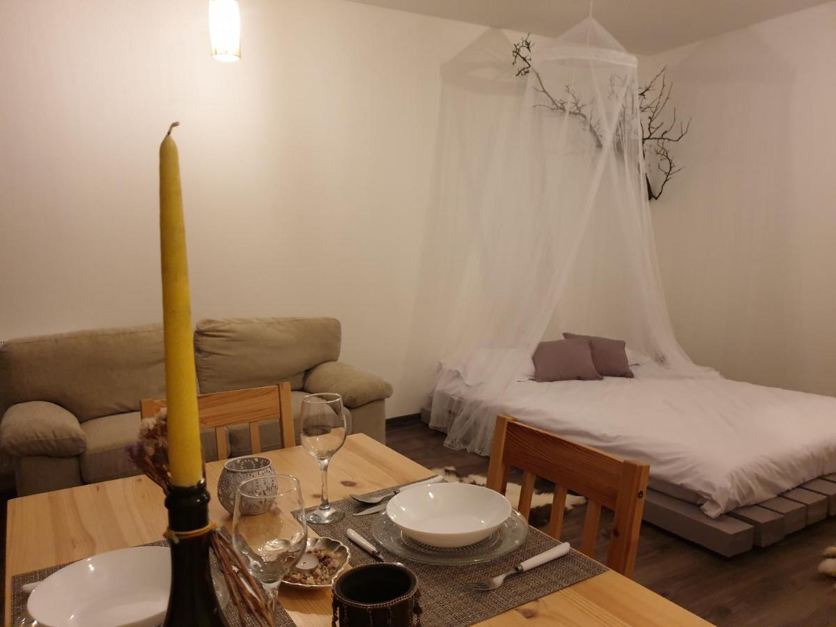 Cluj City Iris Appartment Luaran gambar