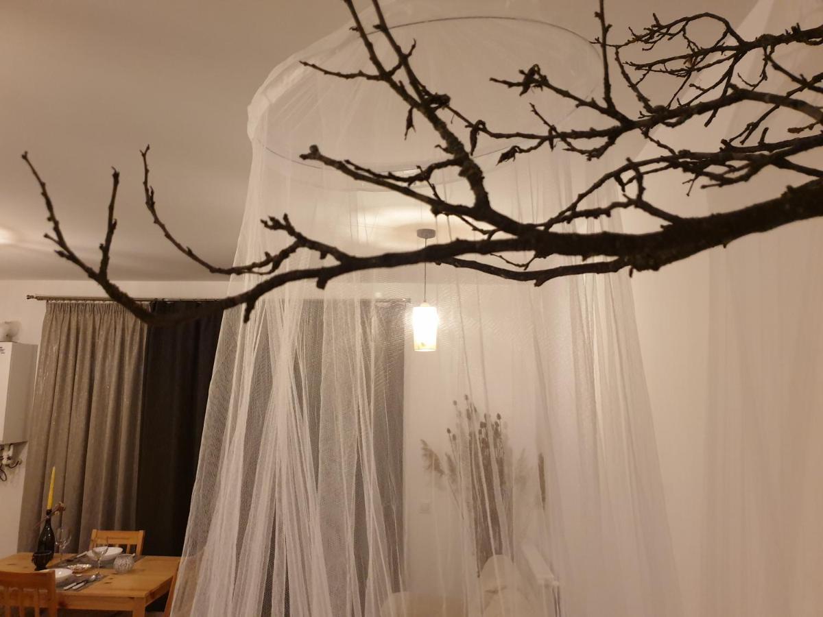Cluj City Iris Appartment Luaran gambar