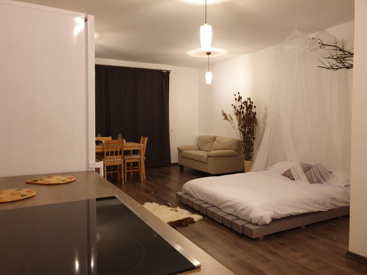 Cluj City Iris Appartment Luaran gambar